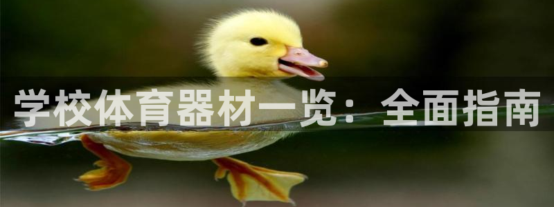 耀世平台佳 5O6917 耀世：学校体育器材一览：全