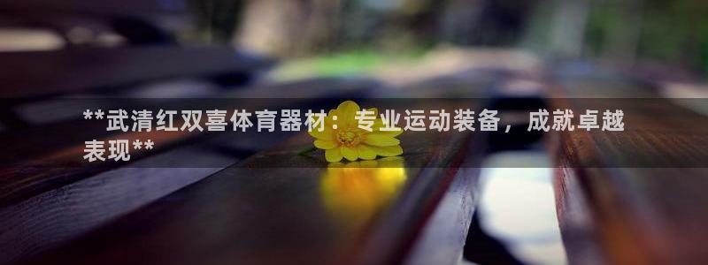 耀世登场之类的广告词：**武清红双喜体育器材：专业运