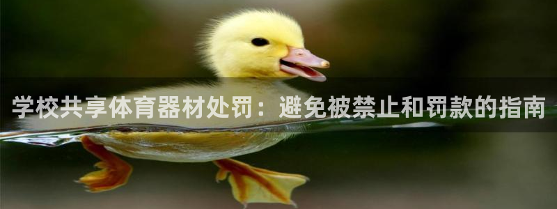 耀世娱乐提款多久到账啊：学校共享体育器材处罚：避免被