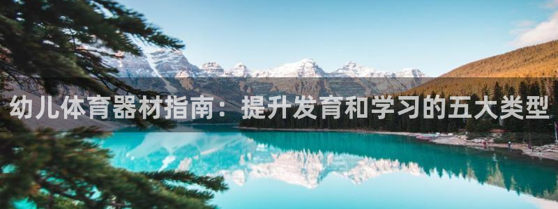 耀世传说：幼儿体育器材指南：提升发育和学习的五大类型