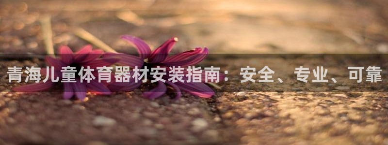耀世娱乐在线登录官网入口：青海儿童体育器材安装指南：