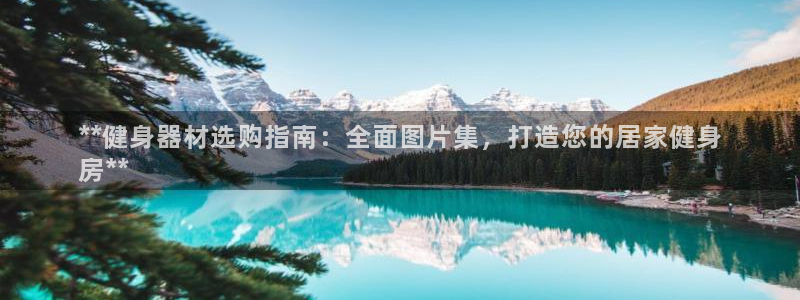 耀世娱乐登陆官网下载：**健身器材选购指南：全面图片