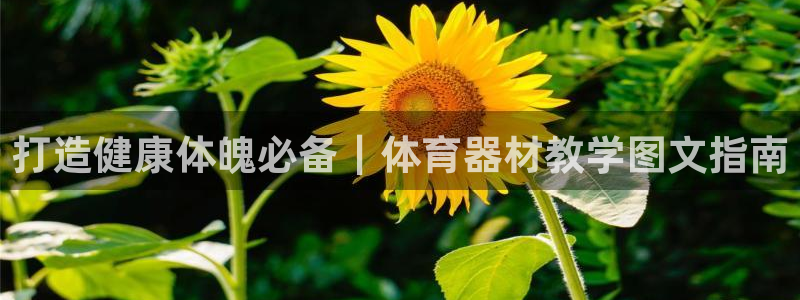 耀世平台客服24小时在线咨询热线：打造健康体魄必备｜