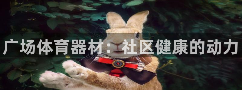 耀世娱乐登陆官网下载：广场体育器材：社区健康的动力