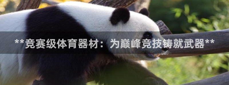 耀世娱乐如何登录账号密码：**竞赛级体育器材：为巅峰