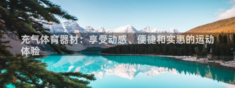 耀世娱乐平台官网：充气体育器材：享受动感、便捷和实惠