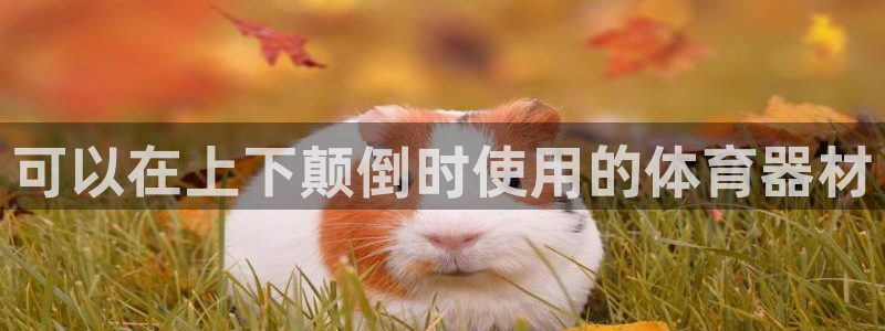 耀世娱乐老板是哪里人：可以在上下颠倒时使用的体育器材