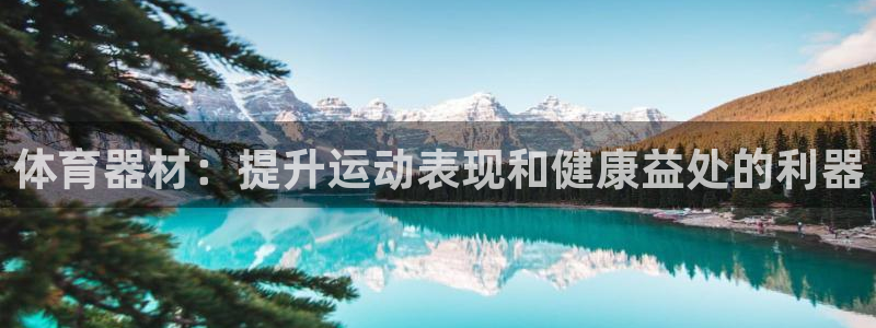 耀世楼盘：体育器材：提升运动表现和健康益处的利器