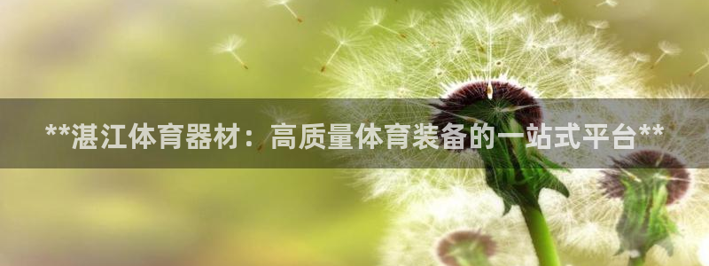 耀世娱乐辅助软件下载官网：**湛江体育器材：高质量体