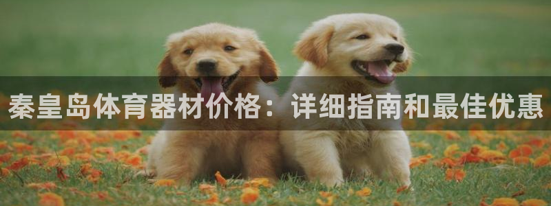 耀世平台注册开户要求：秦皇岛体育器材价格：详细指南和