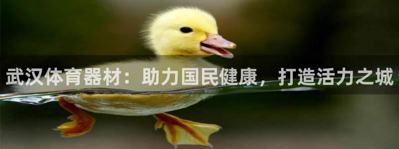 耀世娱乐下载链接安装包：武汉体育器材：助力国民健康，