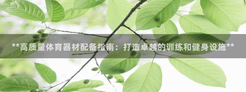 耀世娱乐能提现吗现在还能用吗：**高质量体育器材配备