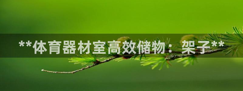 耀世娱乐百科官网：**体育器材室高效储物：架子**