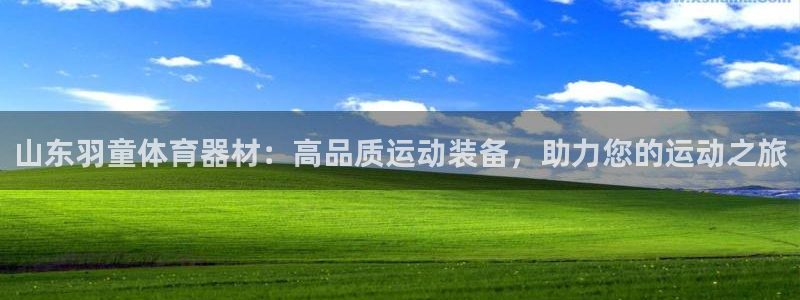 耀世娱乐如何登录平台账号：山东羽童体育器材：高品质运