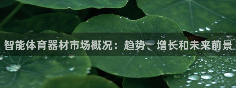 耀世娱乐官网首页登录：智能体育器材市场概况：趋势、增