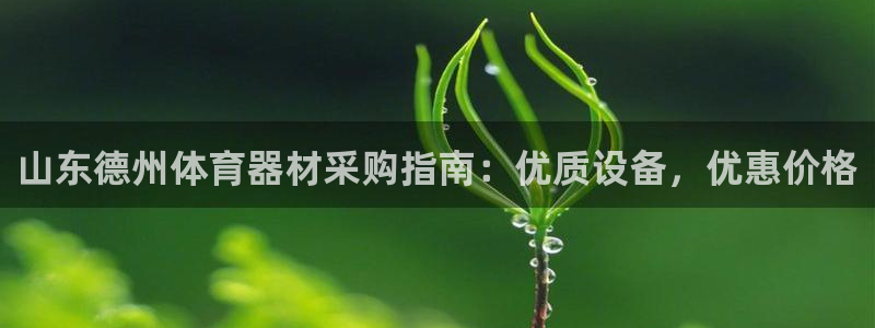 耀世集团是干嘛的企业：山东德州体育器材采购指南：优质