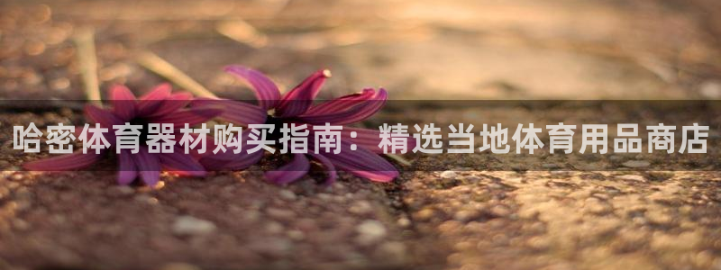 耀世娱乐官方网站登录：哈密体育器材购买指南：精选当地