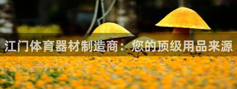耀世集团视频直播是真的吗：江门体育器材制造商：您的顶