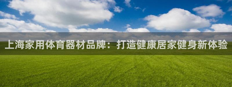 耀世娱乐脚本不死挂机：上海家用体育器材品牌：打造健康居家健身