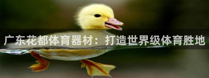 耀世登场之类的广告词：广东花都体育器材：打造世界级体