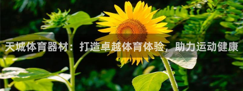 耀世娱乐登录地址在哪看：天城体育器材：打造卓越体育体