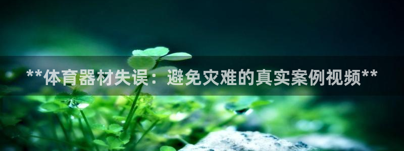 耀世集团王总简介：**体育器材失误：避免灾难的真实案