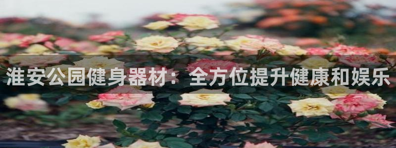 耀世平台代理多少钱一次：淮安公园健身器材：全方位提升
