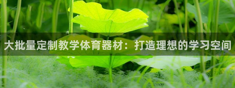 耀世娱乐平台官网登录不了了：大批量定制教学体育器材：