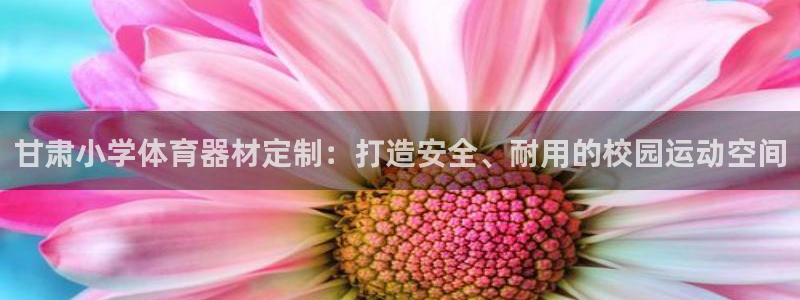 耀世平台开户要求：甘肃小学体育器材定制：打造安全、耐