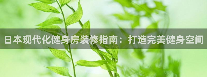 耀世登场下一句：日本现代化健身房装修指南：打造完美健