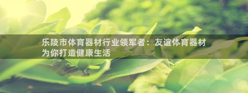 耀世集团的创始人是谁：乐陵市体育器材行业领军者：友谊