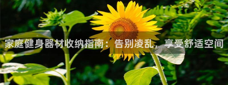 耀世挑战第二关怎么过：家庭健身器材收纳指南：告别凌乱