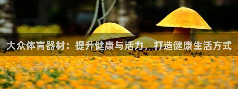 耀世天下的意思：大众体育器材：提升健康与活力，打造健