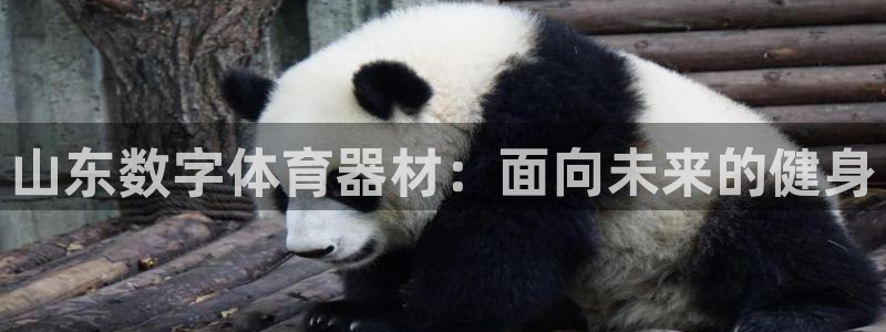 耀世平台注册网址是什么啊：山东数字体育器材：面向未来