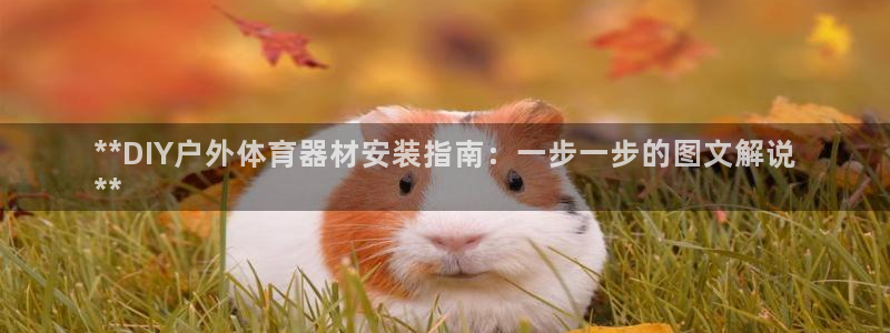 耀世娱乐几6.7.5.1.3.8：**DIY户外体育
