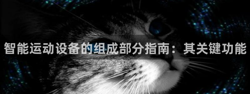 耀世国际平台正规吗安全吗可靠吗：智能运动设备的组成部