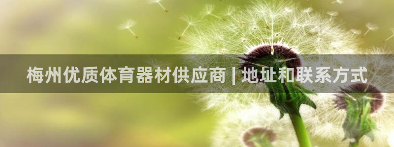 耀世娱乐雷 5O69I7：梅州优质体育器材供应商 |