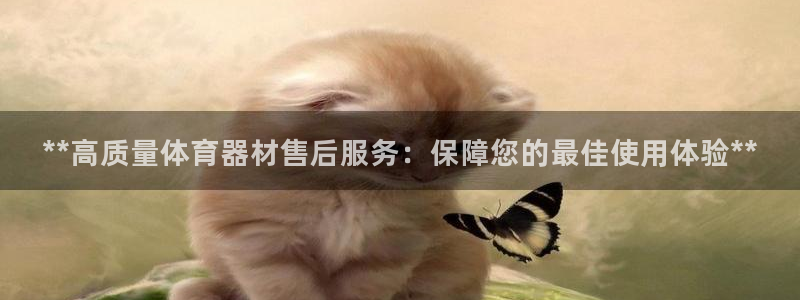 耀世娱乐如何登录账号啊：**高质量体育器材售后服务：