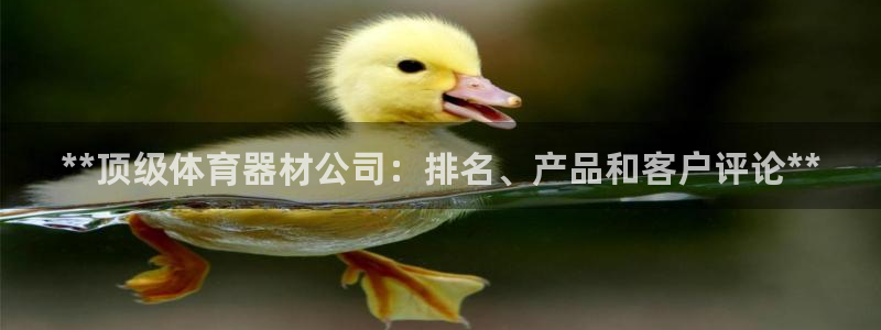 耀世传媒好吗：**顶级体育器材公司：排名、产品和客户
