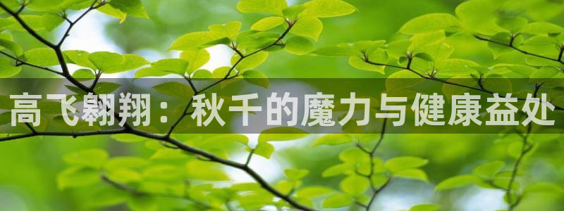 耀世平台注册链接怎么打开：高飞翱翔：秋千的魔力与健康