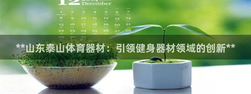 耀世集团是什么电影院：**山东泰山体育器材：引领健身