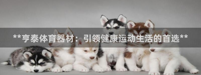 耀世娱乐好不好做：**亨泰体育器材：引领健康运动生活