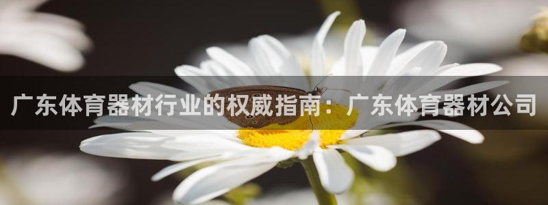 耀世平台代理怎么样可靠吗：广东体育器材行业的权威指南