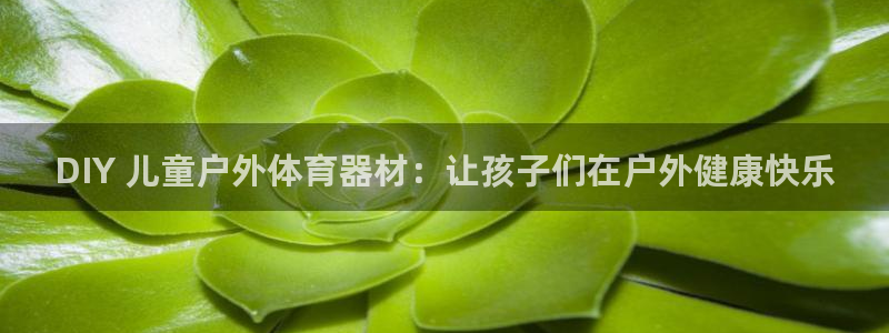 耀世娱乐六7O777：DIY 儿童户外体育器材：让孩