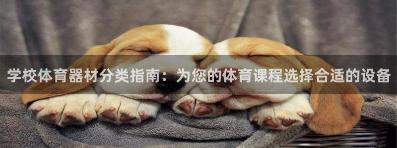 耀世娱乐平台官网登录入口网址：学校体育器材分类指南：