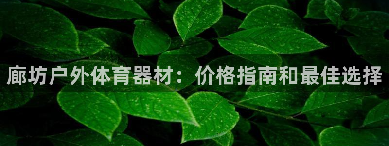 耀世开业是什么意思：廊坊户外体育器材：价格指南和最佳