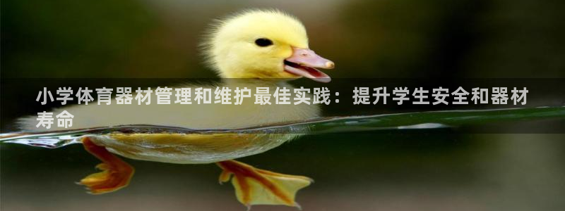耀世集团小说：小学体育器材管理和维护最佳实践：提升学生安全和