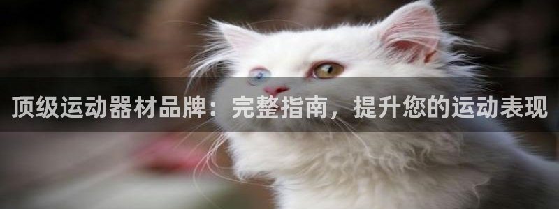 耀世娱乐列7O777：顶级运动器材品牌：完整指南，提