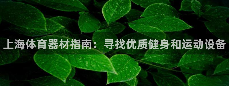 耀世国际平台正规吗安全吗可靠吗：上海体育器材指南：寻
