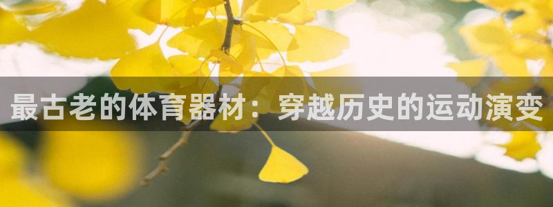 耀世平台军7O777：最古老的体育器材：穿越历史的运
